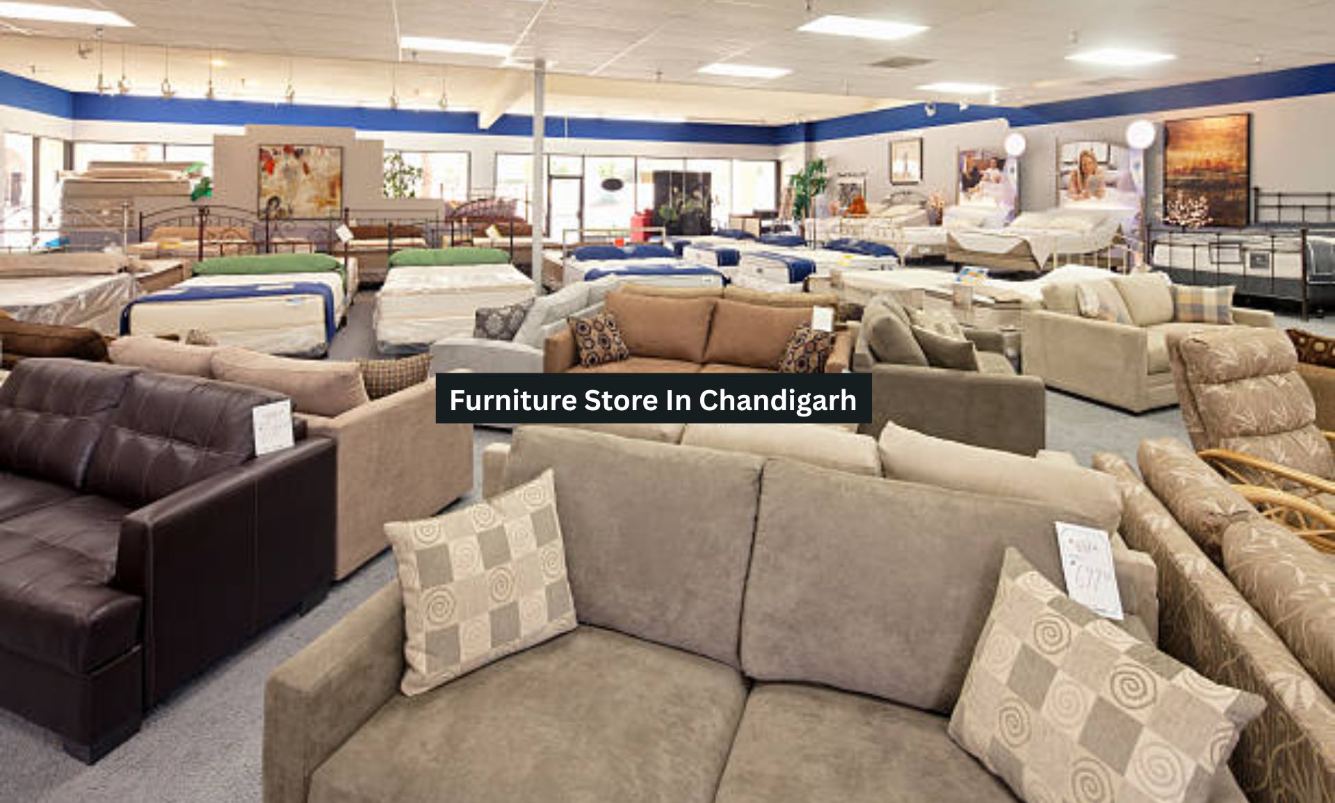 Furniture Store